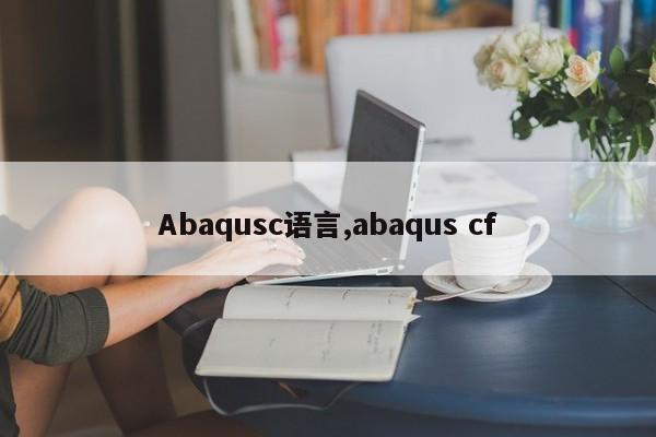 Abaqusc语言,abaqus cf