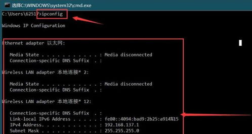 ipconfig命令用处,ipconfig命令的功能及使用方法