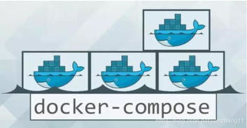 docker多个命令,多个docker compose