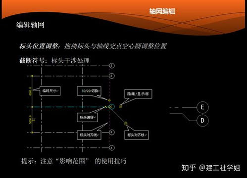 对正命令revit,revit对齐标注怎么确定