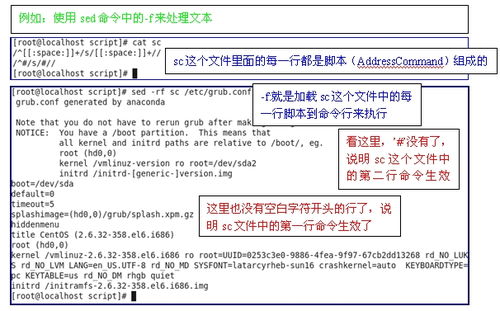 sed命令,sed命令详解