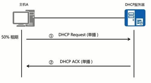 dhcp批量命令,dhcp全局配置